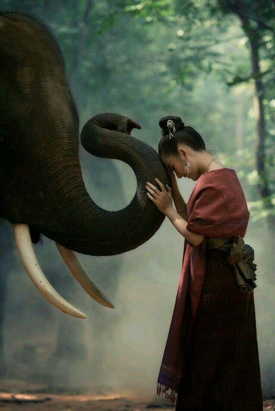 Frau mit Elephant