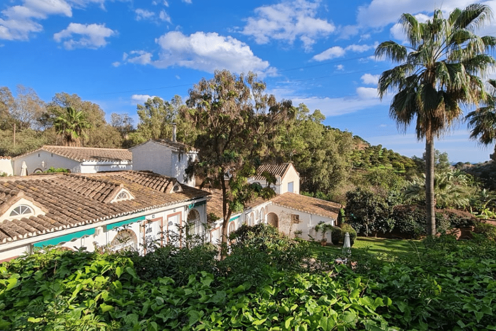 23 Gemeinschaftsraum Irland Retreat