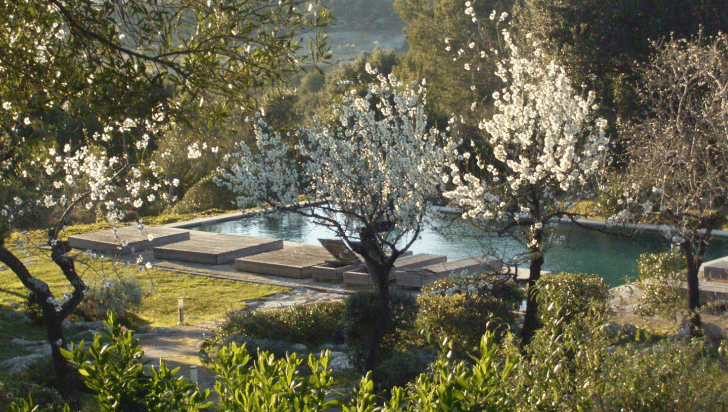 Yoga Retreat Irland