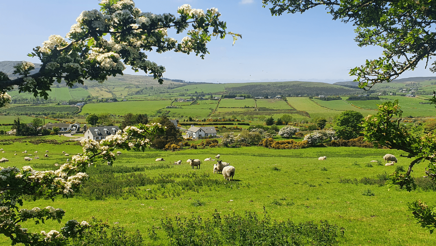 Yoga Retreat Irland