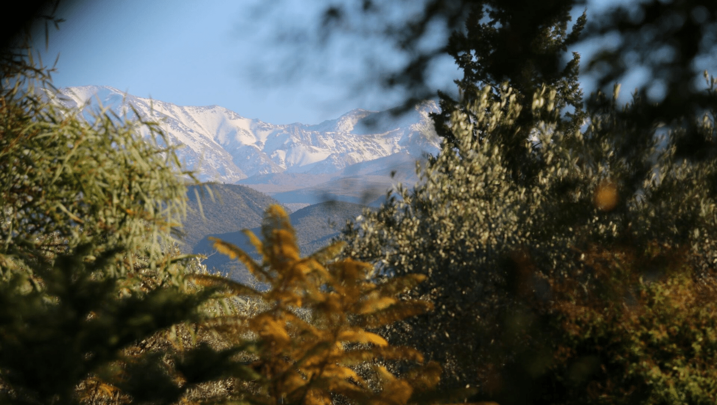 Wanderung Irland Yoga Retreat