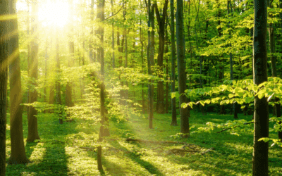 Hast du heute schon gefeiert?