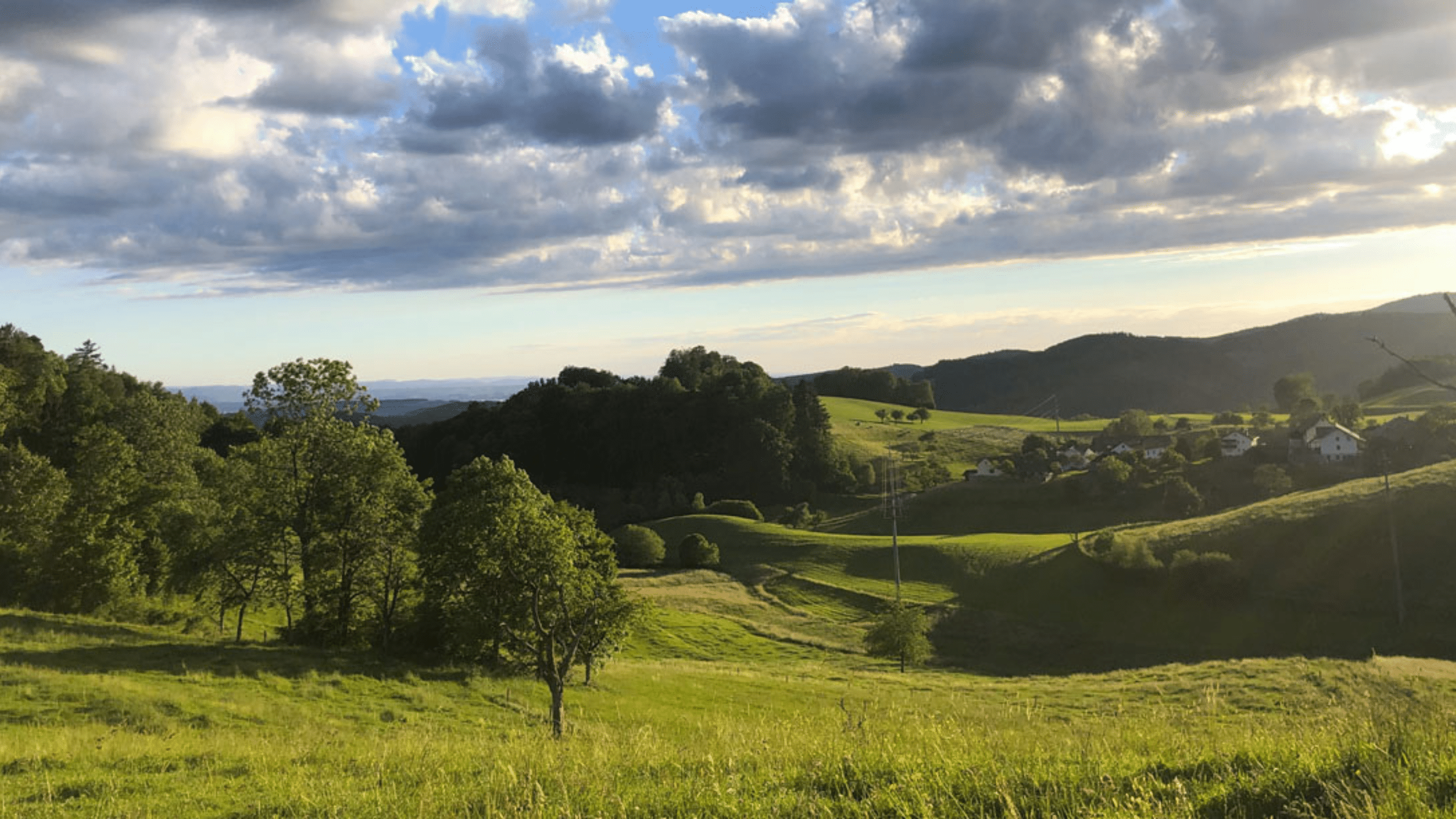 Thumbprint Hofgut Leo