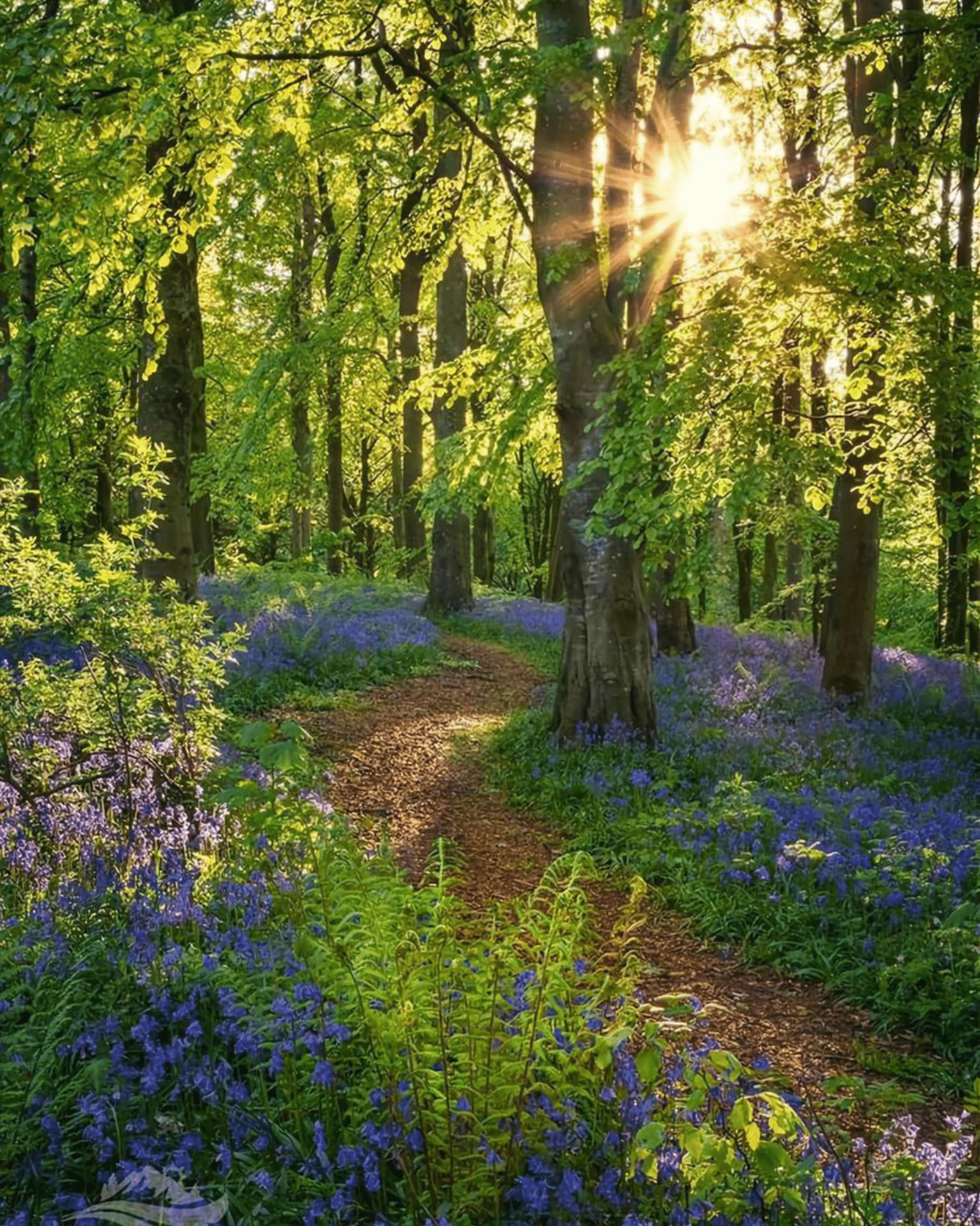 Sacred Circle Ausbildung