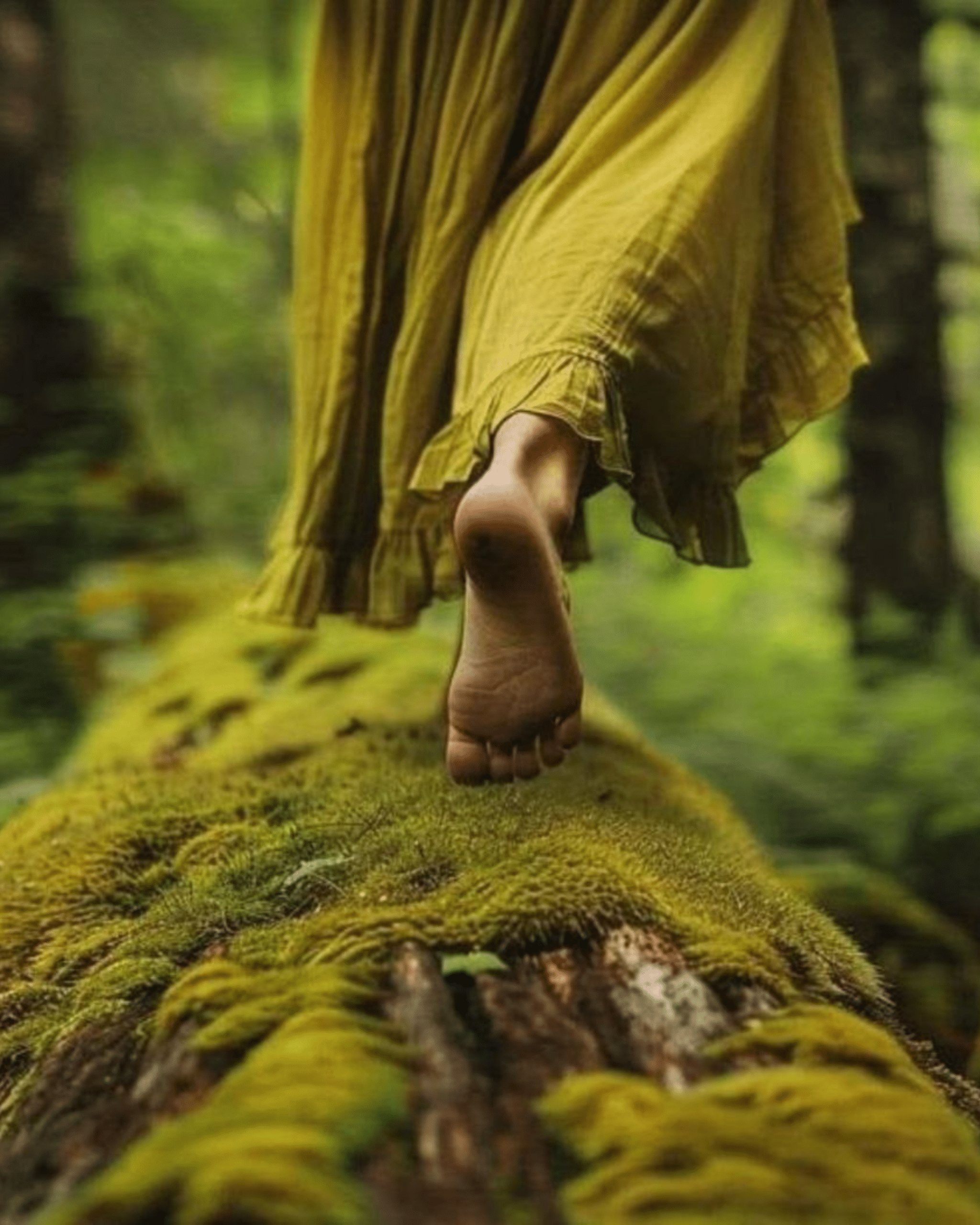 Sacred Circle Ausbildung