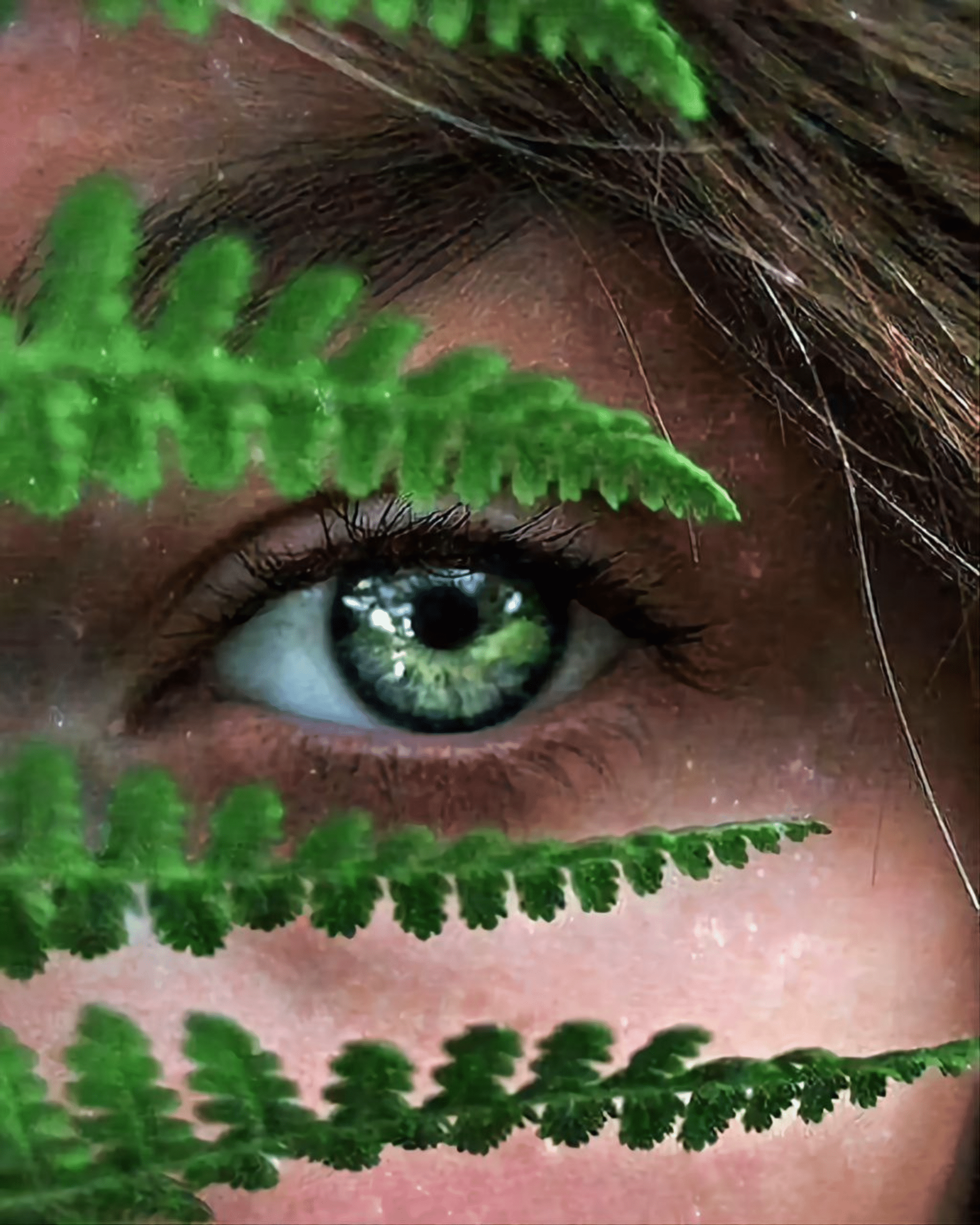 Sacred Circle Ausbildung